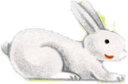 うさぎ